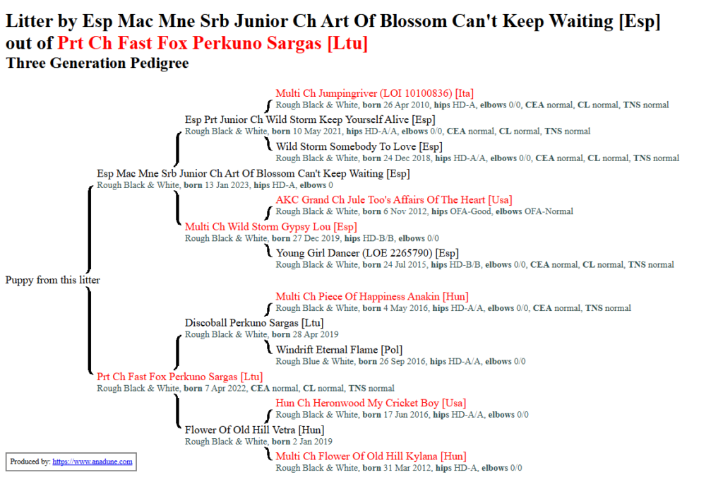 Pawesome Valley Pedigree ninhada
