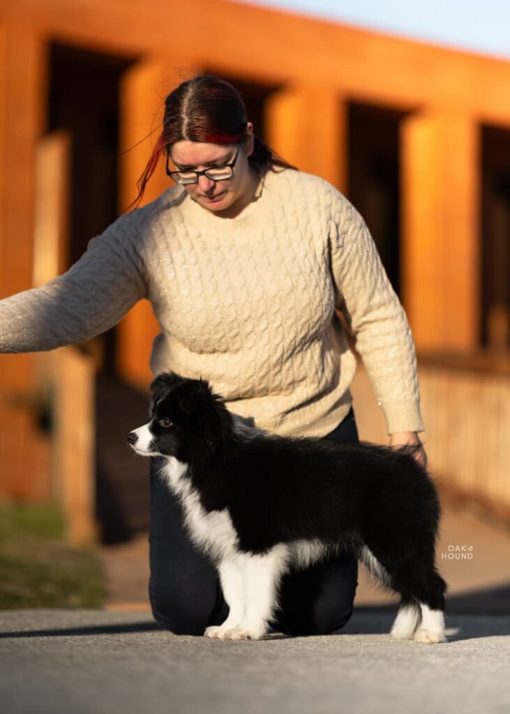 Pawesome Valley WhatsApp Image 2026 01 03 at 19.07.32